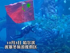 -哈尔滨波塞冬海底世界