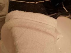 -上海外滩华尔道夫酒店