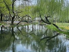 -杭州城中香格里拉大酒店