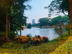 -荔湾湖公园