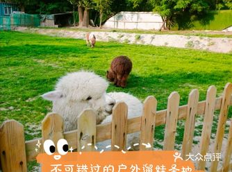 快来打卡北京超棒的户外儿童乐园！