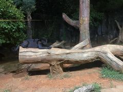 -杭州野生动物世界
