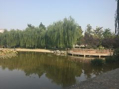-丰台科技园生态主题公园