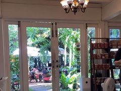 -Fern Forest Cafe
