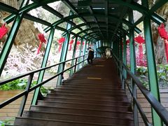 -京东石林峡风景区