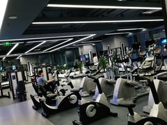 -金吉鸟健身游泳