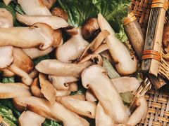 -滇野云南野生菌餐厅(陕西南路店)