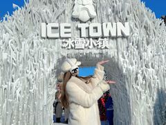 -哈尔滨波塞冬海底世界