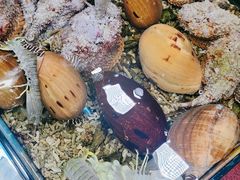 -醉壹号海鲜大排档(厦门美食地标店)