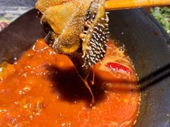 -阳阳老火锅(小南门店)