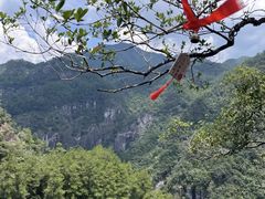 -九鲤溪瀑景区
