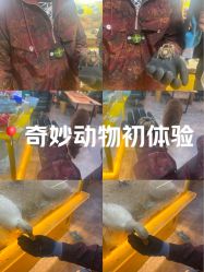-神奇动物撸宠馆·羊驼·小浣熊·异宠(豫园店)