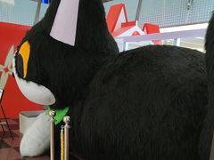 -福田卓悦INTOWN购物中心