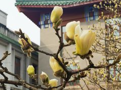 -中国中医科学院西苑医院(本部)