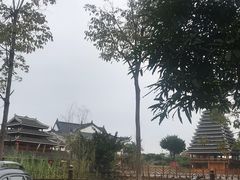 -广西壮族自治区博物馆