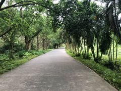 -田心森林公园