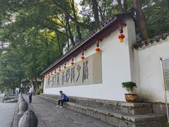 -严子陵钓台(富春江小三峡)