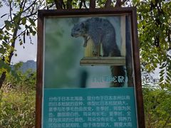 -欢乐松鼠谷