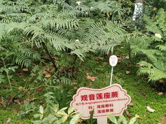 -成都市活水公园