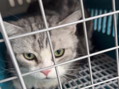 -中农国际动物医院24小时·猫科·骨科·急重症中心