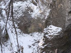 -峡谷浮石林景区