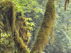 -西岭雪山大飞水景区