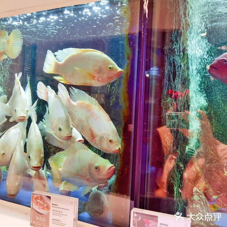 环球的珍宝海鲜美味大餐