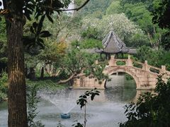 -上海醉白池公园