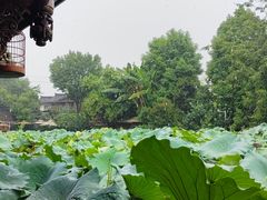 -莫催咖啡