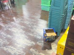 -皖北巫氏三胖地锅鸡(长淮总店)