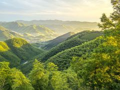 -莫干山风景区