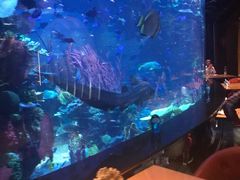 -迪拜帆船酒店海底餐厅