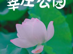 -莘庄公园