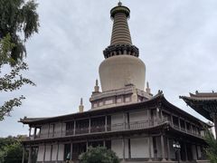 -张掖大佛寺景区