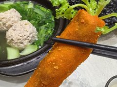 -丁老爷子苏香圆