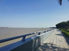 -大湾区中央湿地公园