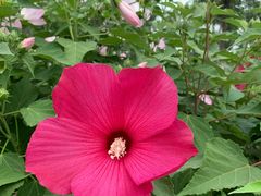 -天津东丽湖风景区