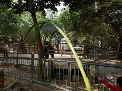 -广东茂名森林公园