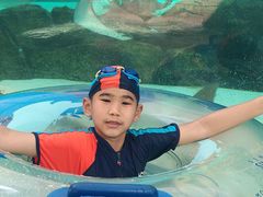 -新加坡水上探险乐园