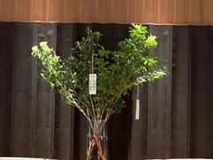 -阿妮叶李(光谷世界城店)