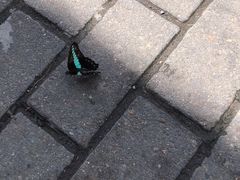 -ENERGY原力健身(川周店)