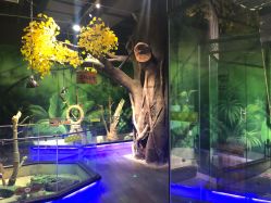 -未来动物城主题公园(正弘城店)