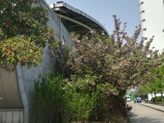 -同济大学四平路校区游泳馆