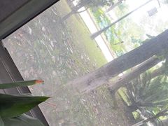 -金稼园·金平湖农家菜