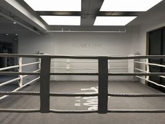 -EFL巴西柔术·综合格斗·泰拳·少儿体能训练(虹桥德必馆)