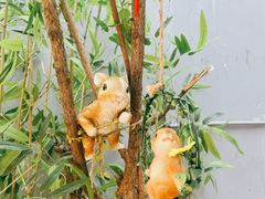 -后海16号·北京私房菜