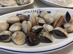 白贝-冯姐生蚝(迎宾广场店)