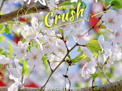 -中興路一號Oriental One