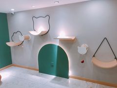 -飞行喵MR PILOT|猫舍·猫咖(静安大融城店)