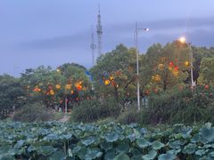 -美兰湖景区